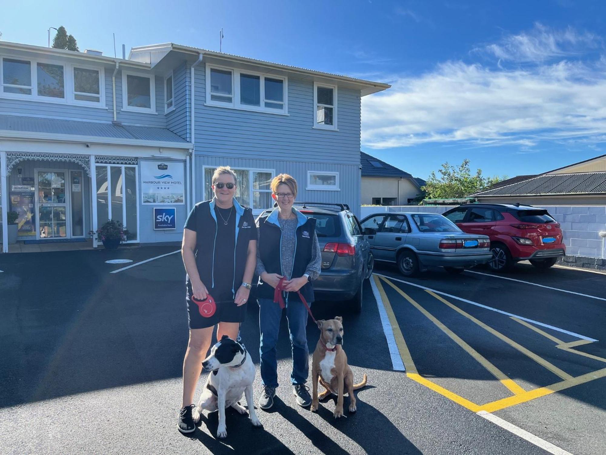 Harbour View Motel And Waterfront Apartments Tauranga Luaran gambar